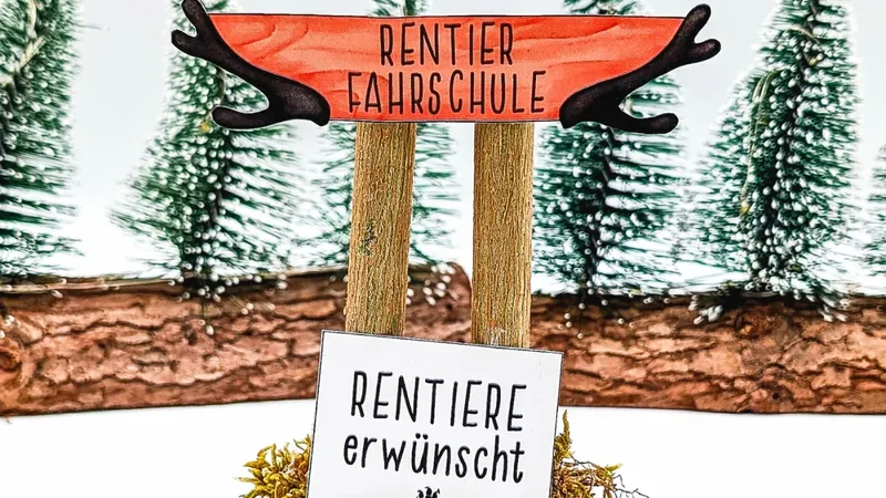 Schild Rentier Fahrschule vor kleinen Tannen